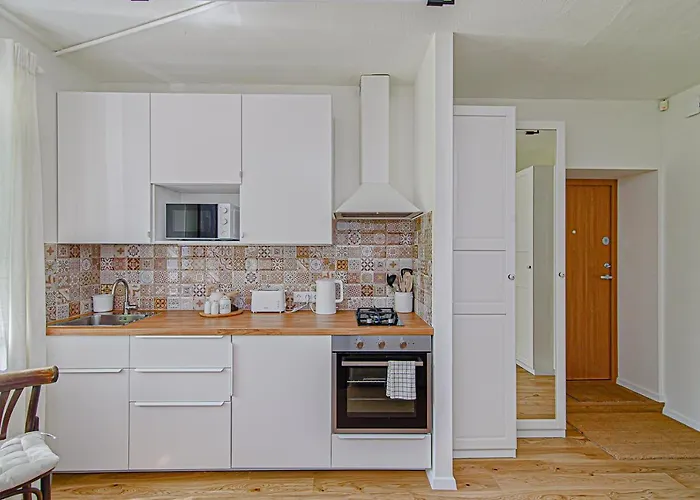 Cozy Studio In The Heart Of Vilnius Old Town